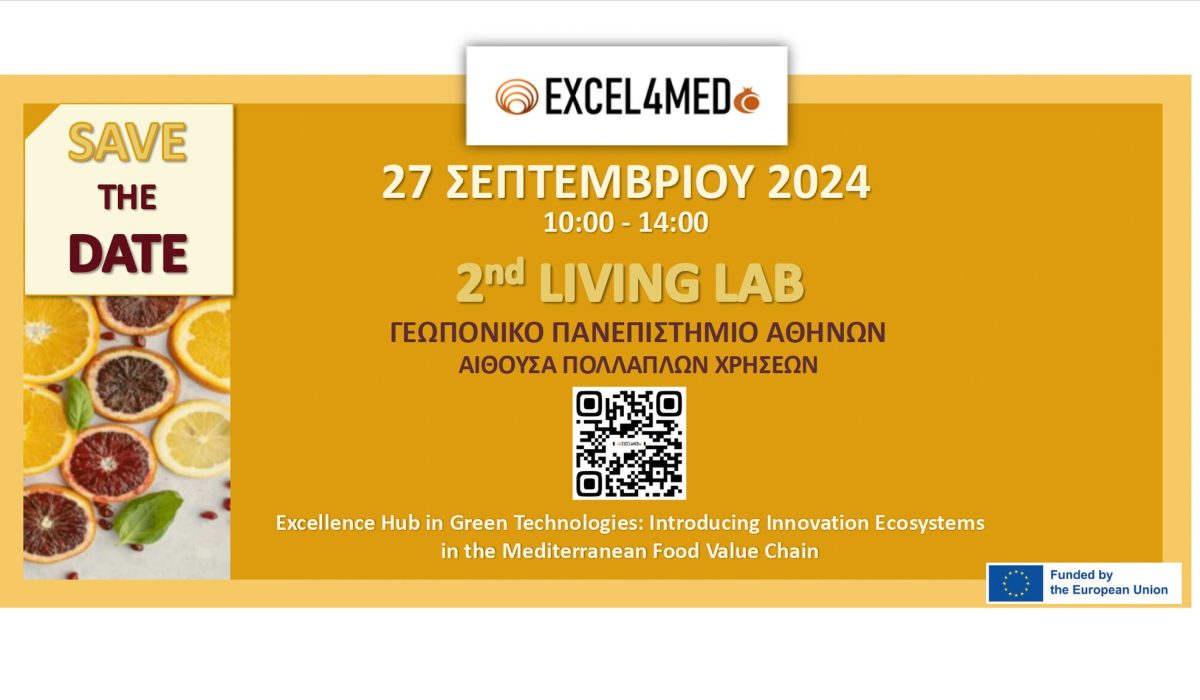 EXCEL4MED