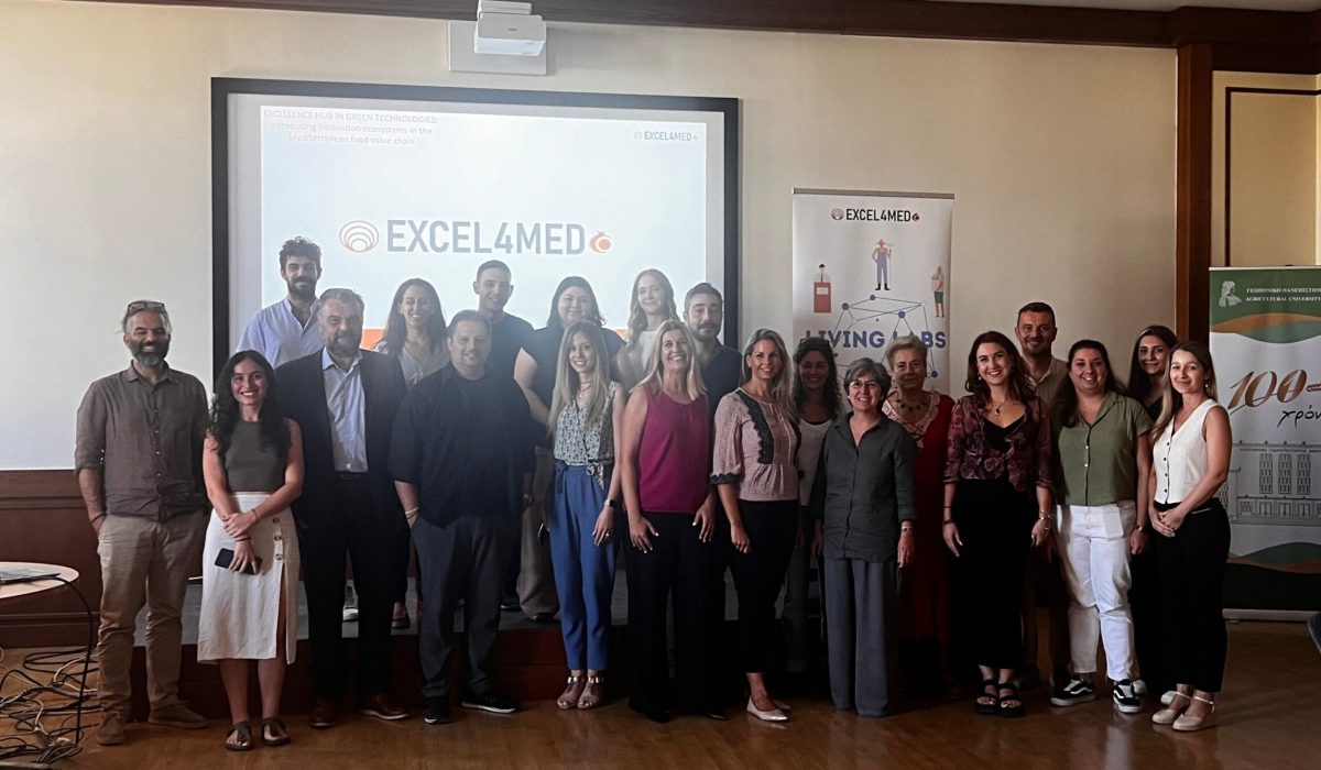 EXCEL4MED